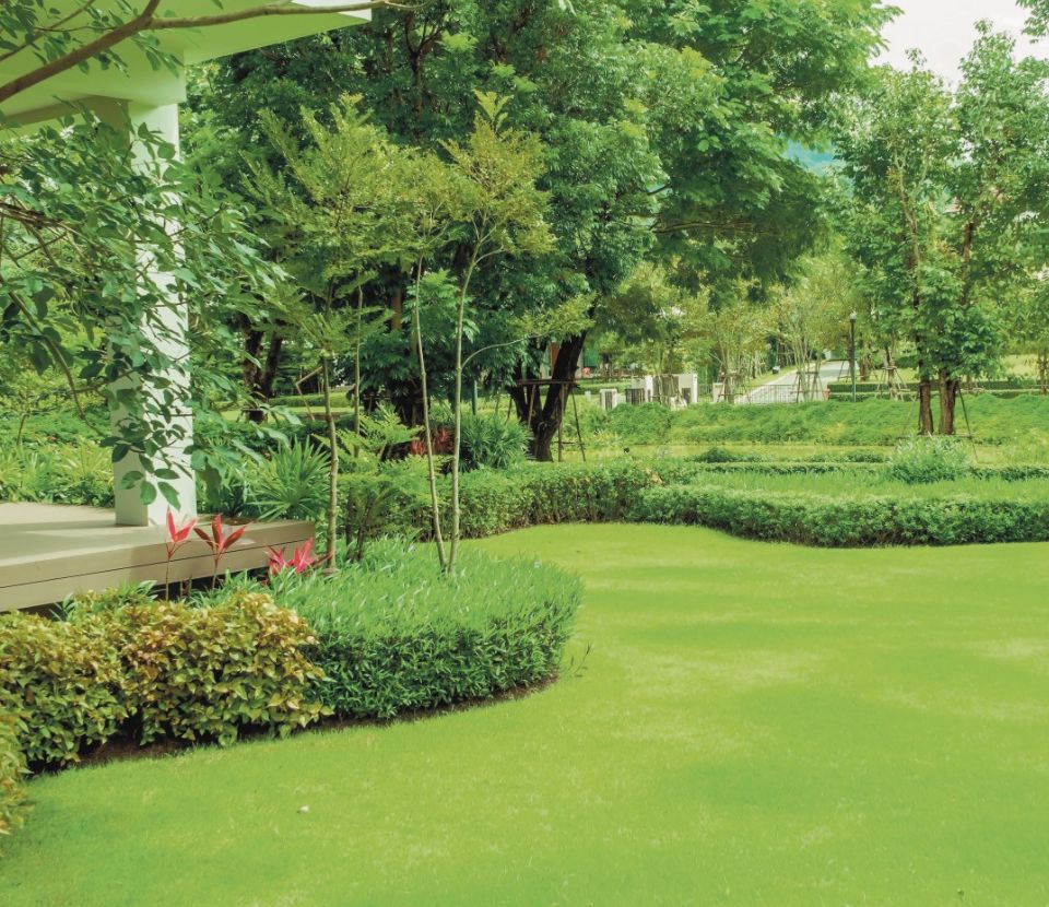 Paranjape Misty Green Bhugaon